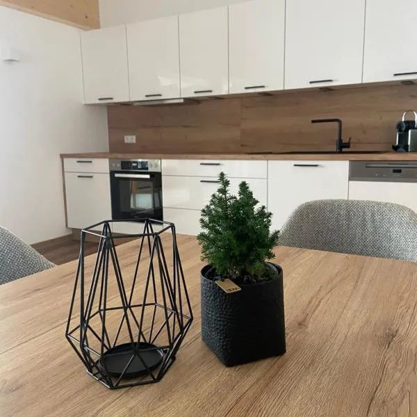 Ski & Bike Appartements, hotell i Altenmarkt im Pongau