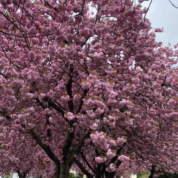 Six minutes to Rupert station, hotell i Vancouver