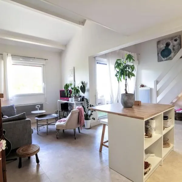 COSY Home - 2 à 4 pers - Aéroport - vieux Blagnac, hotel in Blagnac