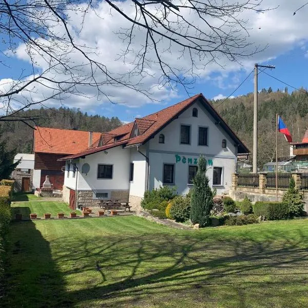 Wellness pension Formanka, hotel in Bělá