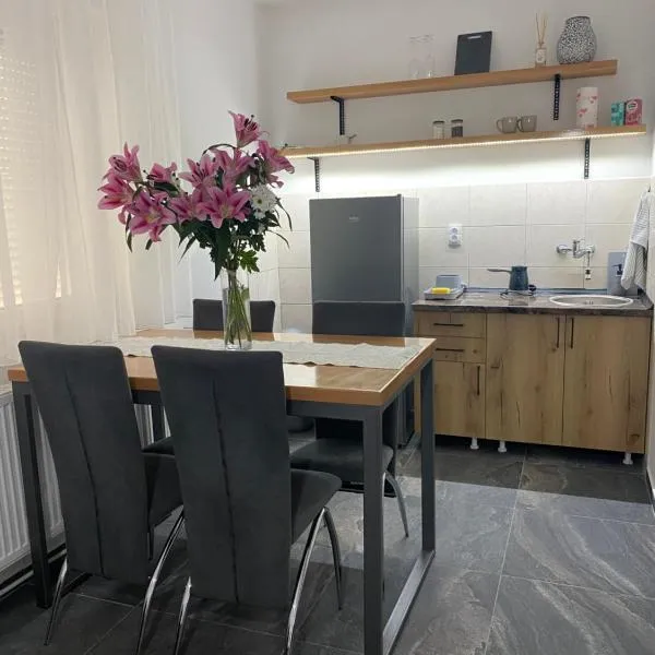 Bellas apartmani, hotel in Novi Sad