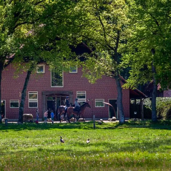 Hoeve Springendal, hotel in Ootmarsum