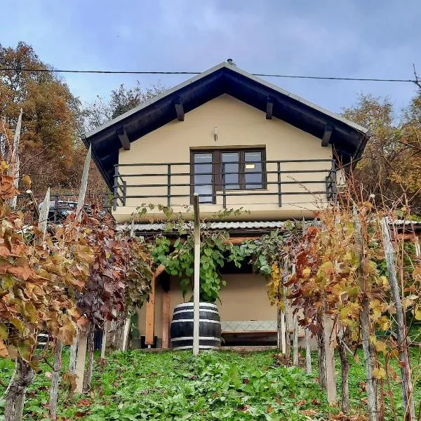 Vineyard cottage Kulovec, hôtel à Srednja Vas