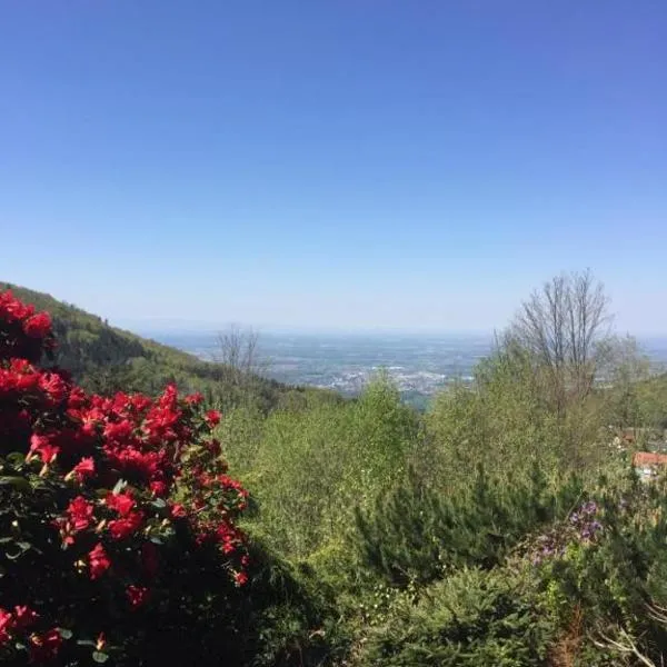 View from the Rock, hotel in Sasbachwalden