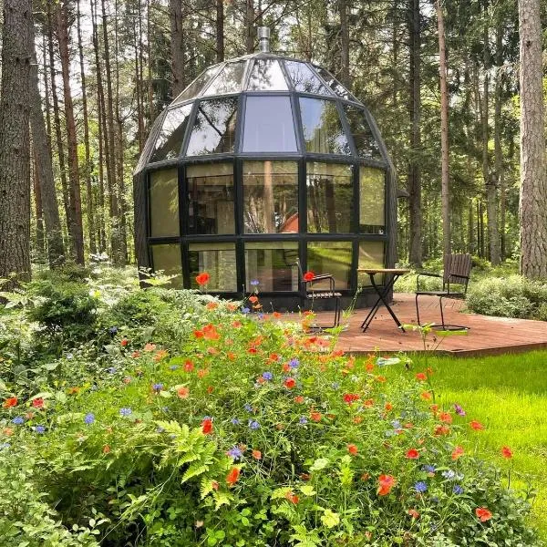 Mugavustega majake mereäärses männikus., hotel di Lohusalu