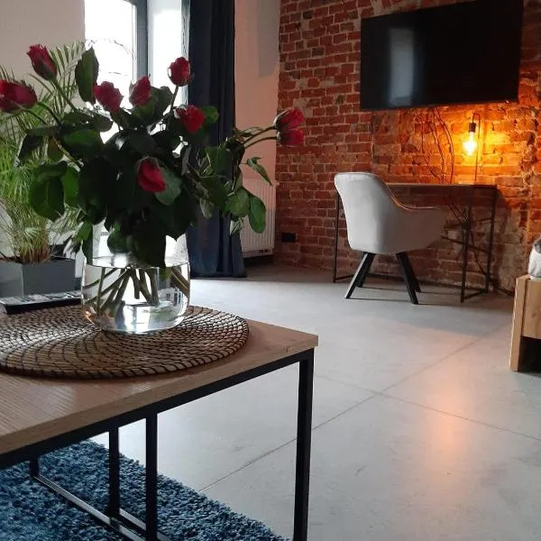 Apartamenty Gliwice Staromiejska 65, hotel v destinaci Gliwice