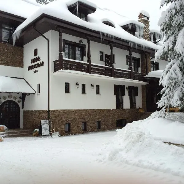 Hanul Haiducilor, hotel in Obarsia-Lotrului