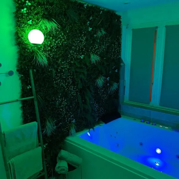 L'extasia appartement,spa jacuzzi Grenoble, hotel in Grenoble