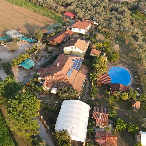 Agriturismo La Fattoria, hotel in Ascea