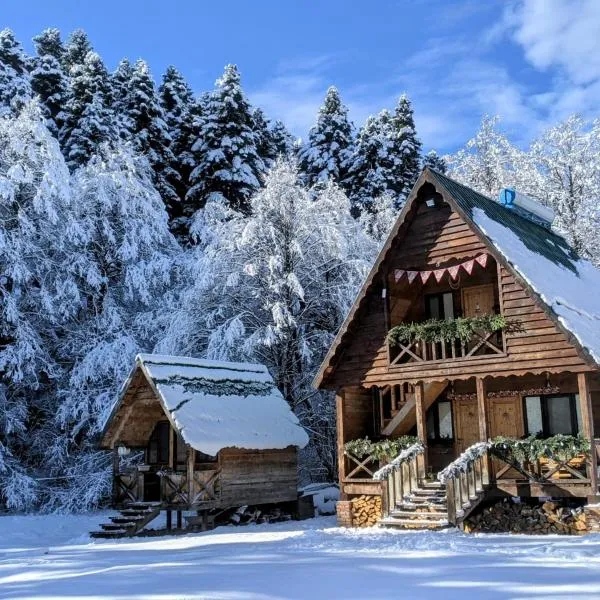 Cottage Tsivtskala in Racha, near Shaori, hotel a Kʼveda Tʼlughi