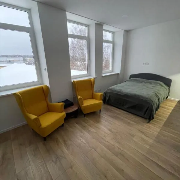 Airport lux apartment 30 Self Check-In Free Parking, hotel in Jaglimainys