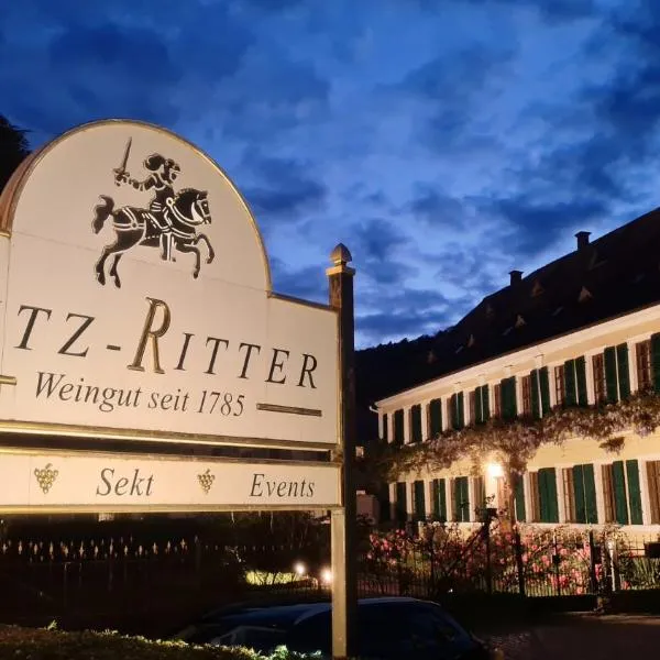 Unterkunft im Weingut Fitz-Ritter, hotel in Bad Dürkheim