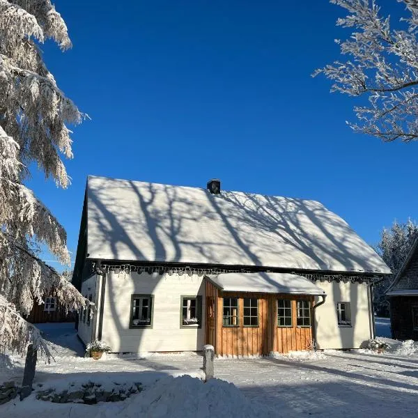 Horské apartmány Rejvíz - Borůvka a Brusinka, hotel in Rejvíz