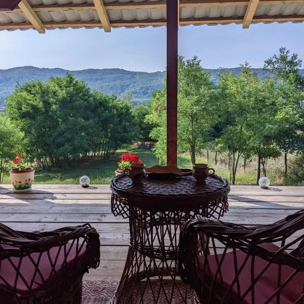 Casa Tranquila, hotel in Bălceşti