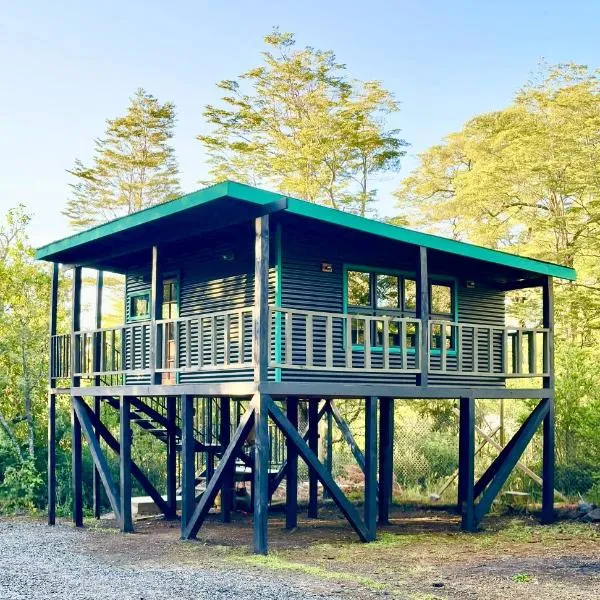 Molco Cabins Palafito, hotel in Pucón