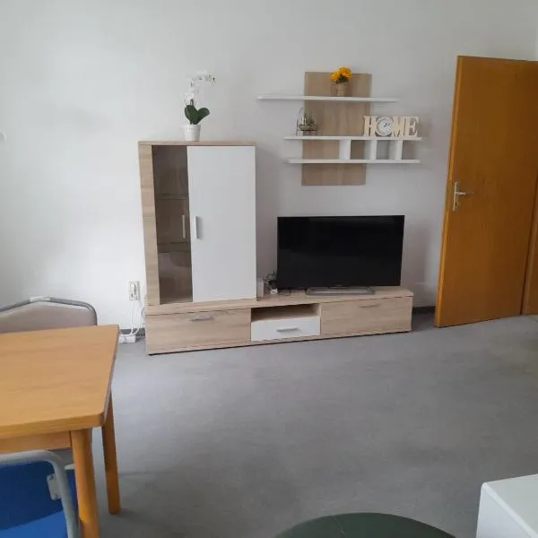 Schöne Wohnung für Monteure und sonstige Reisende, hotel v destinaci Zwickau