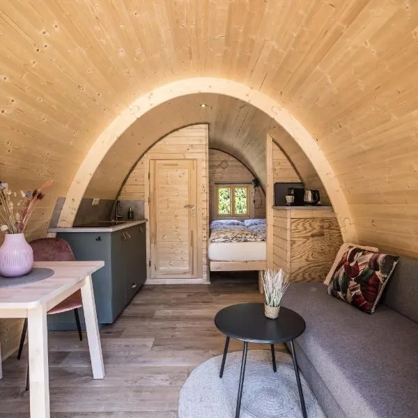 Luxe woodlodge in een prachtige en bosrijke omgeving, hotel in Bornerbroek