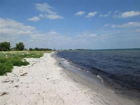 트렐레보리에 위치한 호텔 Hedmansgårdens basement apartment