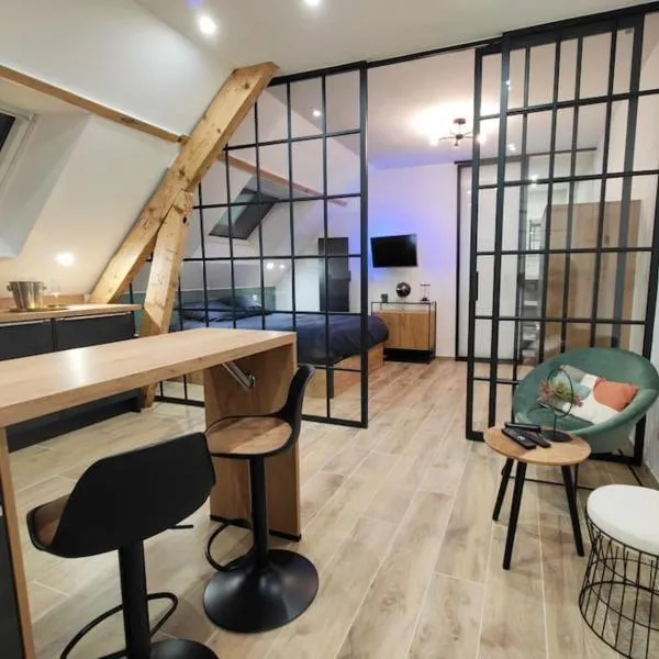 Hypercentre : vue cathédrale - verrière - cosy, hôtel à Amiens