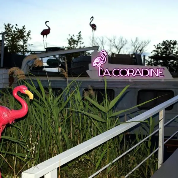 Séjour atypique et insolite sur notre péniche La Coradine avec grand spa, hotel v destinaci Aigues-Mortes