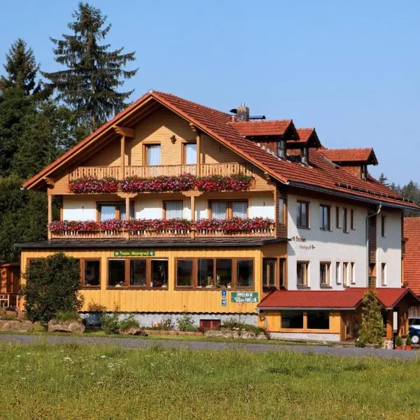 Pension Wiesengrund, hotel v destinaci Neuschönau