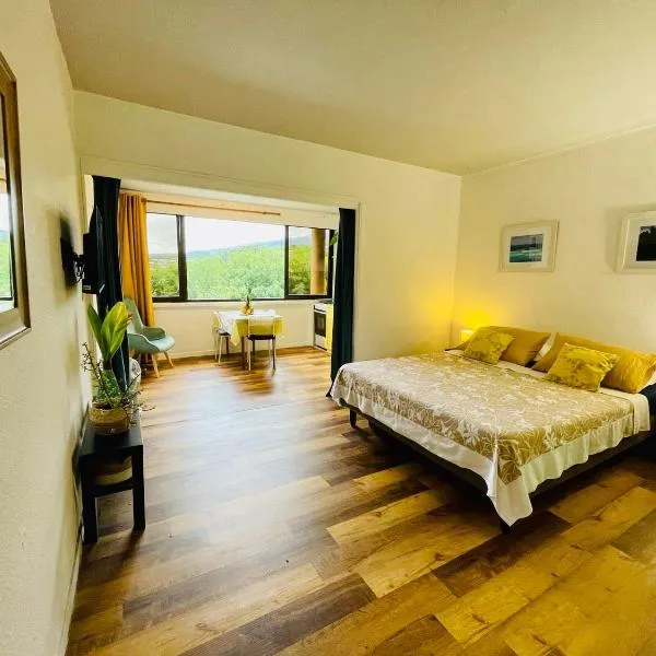 Studio Hina - Cosy, Quiet & Pool, hotel in Papeete