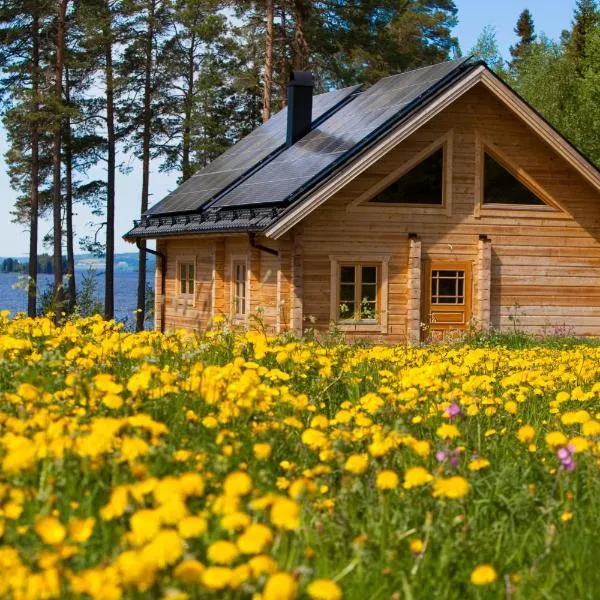 Blockhaus am See - Komfort umgeben von Natur!, hotel in Trångsviken
