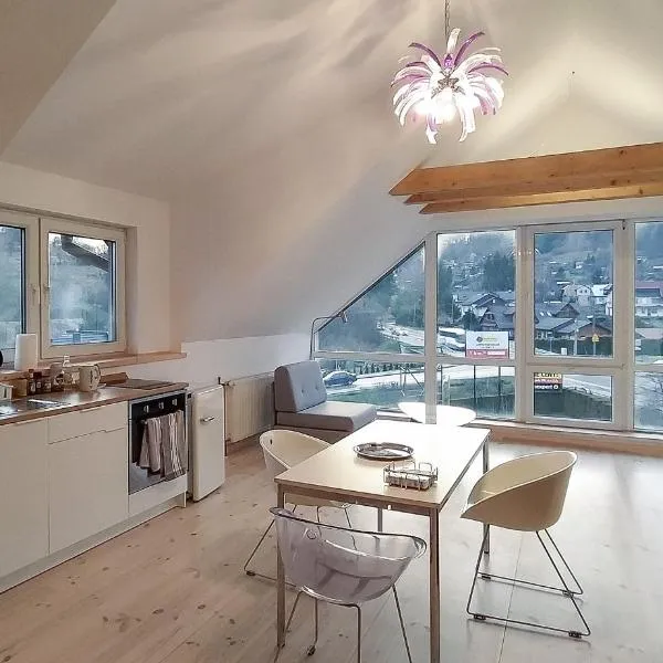 Apartament u Tomka Lux, hotel v destinaci Ustrzyki Dolne