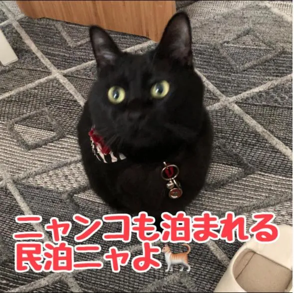 男性のみでの利用不可ーペット連れ歓迎 女性連れ専用ーotomari MUSUHIータイ古式マッサージや妊産婦ケアが受けられる 源泉掛け流し温泉側の宿 ドッグラン可, готель у місті Такамацу