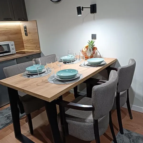 브르제체에 위치한 호텔 Kopaonik Apart Bela Reka Brzece