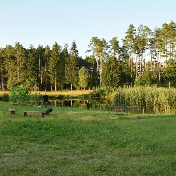 Agroturystyka Leśna Wyspa, hotel din Kaliska