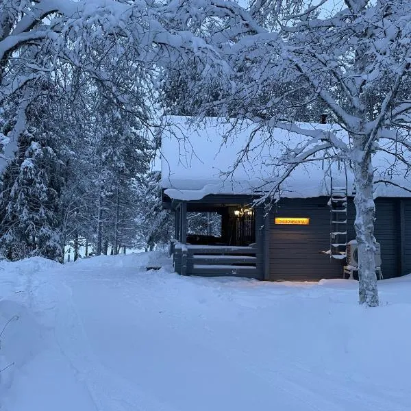 Siljonranta, hotel Särkijärvi városában