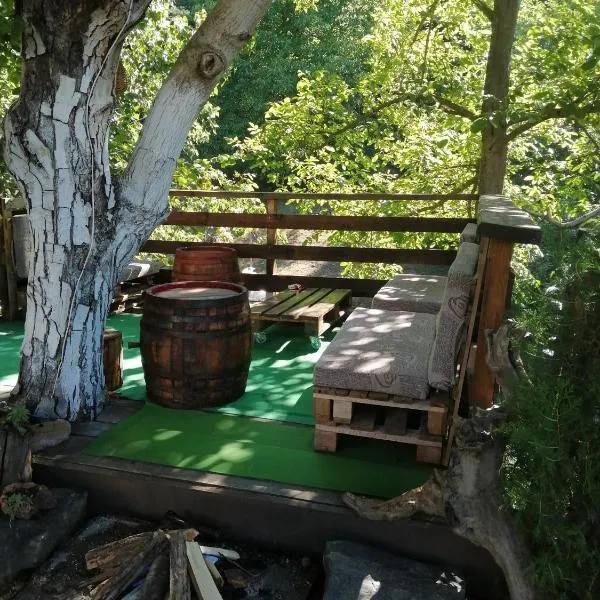 Domaćinstvo Trifunović, hotel v destinaci Pretrešnja