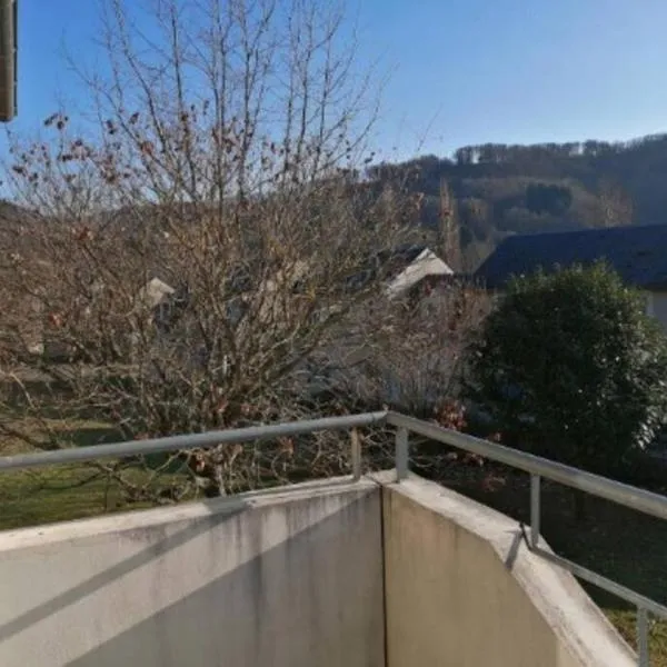 Appartement calme et propre Le Goelia, hotel en Sainte-Eulalie-dʼOlt