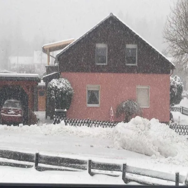 Privatvermietung Ina, hotel in Buntenbock