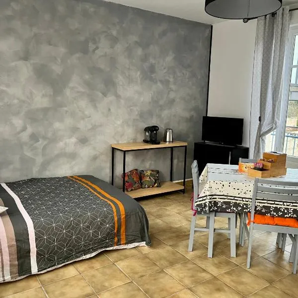 Studio indépendant dans maison individuelle, hotel in Nancy