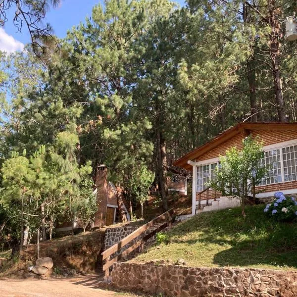 Cabañas las Alazanas, hotell sihtkohas Mazamitla