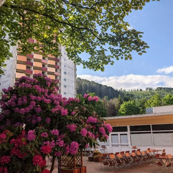 Familien Apartmenthotel Panoramic, hotel in Bad Lauterberg