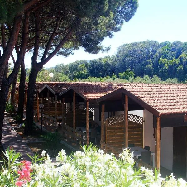 Camping Serenella, hotel v destinaci Rodi Garganico