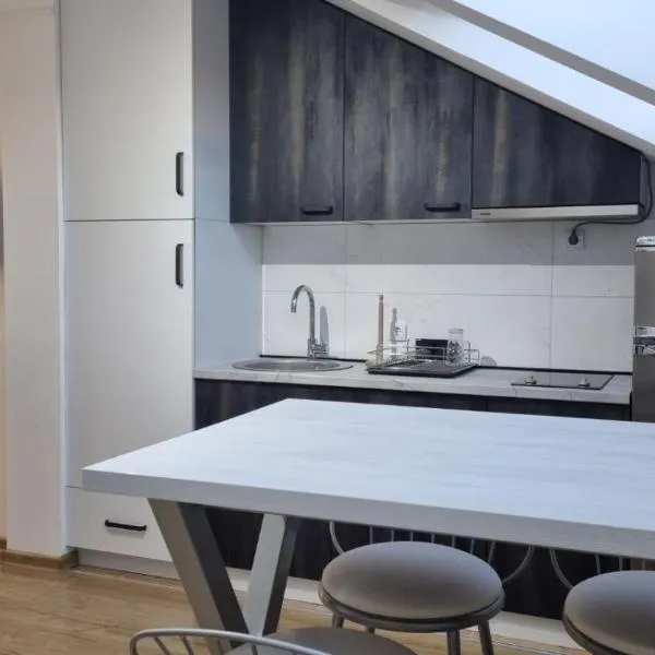 Ancora apartment 5, hotel in Novi Sad