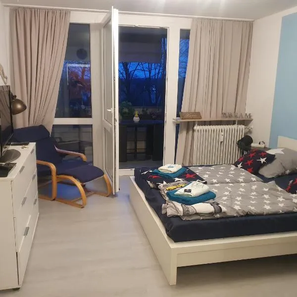 Apartment Ferienwohnung modern nähe Altstadt Landshut, hotel in Landshut