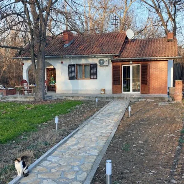 Vikendica Zajecar, hotel v destinaci Zvezdan