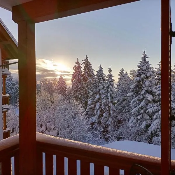 Luxury apartments Prežin, hotel in Pohorje