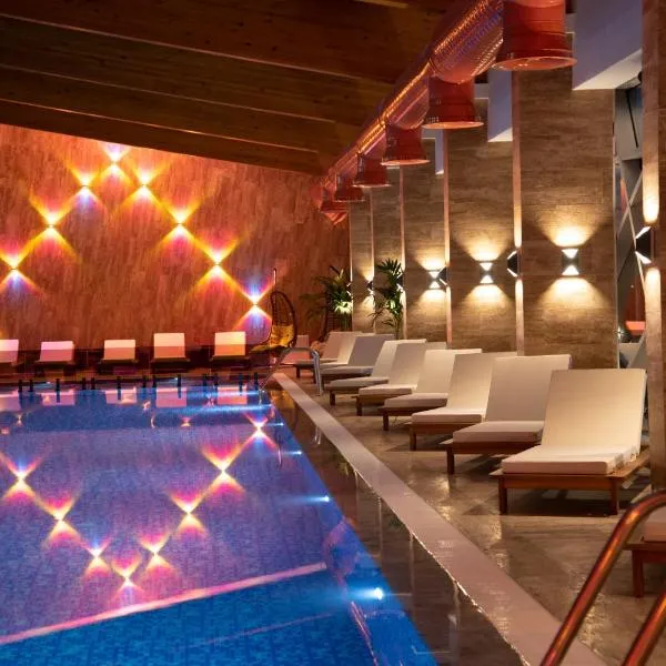 Hotel Borovi Forest Resort & Spa, ξενοδοχείο σε Sjenica