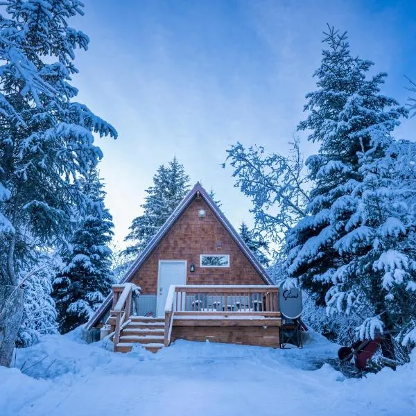 Glacier Creek Cabins, hotel in Seward