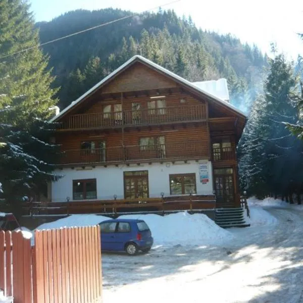 Cabana Mija, hotel in Obarsia-Lotrului