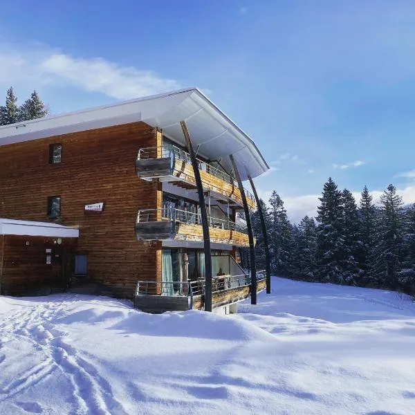 Mélèze B *** plein Sud, hotel v destinaci Chamrousse