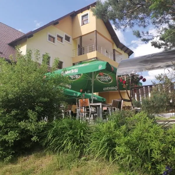 Pensiunea Valurile Bistritei, hotel v destinaci Vatra Dornei