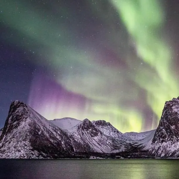 Senja Living, hotel in Tranøya