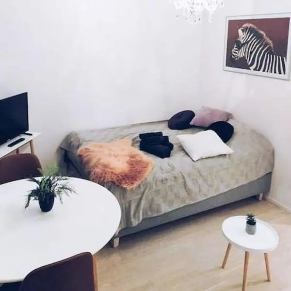 New Studio Zebra near Airport, khách sạn ở Klaukkala